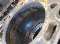  Блок цилиндров (Шорт блок) Renault Megane 2 2002-2009 20784509 #6