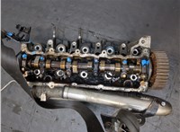  Головка блока (ГБЦ) Renault Megane 2 2002-2009 20784511 #1