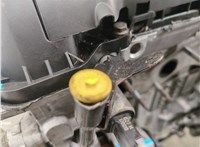 0135QZ Двигатель (ДВС) Peugeot 207 2006-2015 20788860 #13