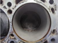  Блок цилиндров (Шорт блок) Audi A6 (C6) 2004-2011 20791395 #8