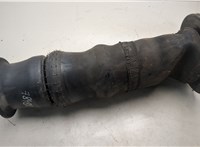 310590024 Пневмоподушка Land Rover Range Rover 2 1994-2002 20796918 #1