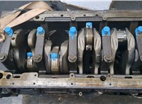  Поршень Man TGX 2012-2021 11787336 #10