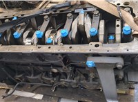  Поршень Man TGX 2012-2021 11787336 #14