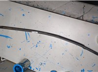 808214CL0A Молдинг стекла (боковое) Nissan Rogue 2013-2020 20798724 #1