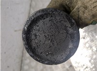  Поршень Nissan Micra K12E 2002-2010 20801581 #1