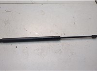 74820TGGA011 Амортизатор капота Honda Civic 2015-2022 20812370 #1