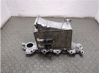  Коллектор впускной Volkswagen Sharan 2015-2022 20814059 #1