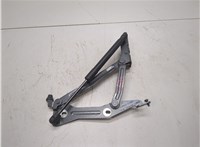 FR3Z6342700A Петля крышки багажника Ford Mustang 2017-2023 20814291 #1
