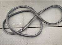  Уплотнитель Dodge Hornet 2022-2025 20814537 #2