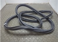  Уплотнитель Dodge Hornet 2022-2025 20814537 #3