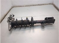 00505747640 Амортизатор подвески Dodge Hornet 2022-2025 20815975 #1