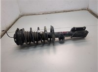 00505747620 Амортизатор подвески Dodge Hornet 2022-2025 20815998 #1