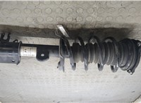 00505747620 Амортизатор подвески Dodge Hornet 2022-2025 20815998 #6