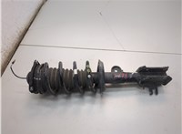 00505747630 Амортизатор подвески Dodge Hornet 2022-2025 20816017 #1