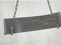 17217940271, 7940271 Радиатор АКПП BMW X3 G01 2017-2024 20816350 #3