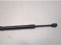 51237347402, 7347402 Амортизатор капота BMW 7 G11, G12 2015-2022 20818350 #1