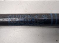 51237347402, 7347402 Амортизатор капота BMW 7 G11, G12 2015-2022 20818350 #2