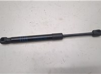 51237347402, 7347402 Амортизатор капота BMW 7 G11, G12 2015-2022 20818353 #1