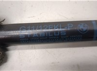 51237347402, 7347402 Амортизатор капота BMW 7 G11, G12 2015-2022 20818353 #2