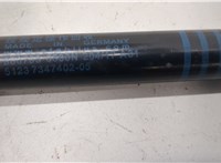 51237347402, 7347402 Амортизатор капота BMW 7 G11, G12 2015-2022 20818353 #3