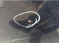 1112392, YM21A16N692CB Обшивка капота Ford Galaxy 2000-2006 11617125 #4