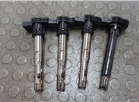 07K905715F Катушка зажигания(комплект) Skoda Octavia (A5) 2004-2013 20819296 #1