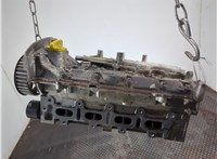 7701473353 Головка блока (ГБЦ) Renault Megane 1996-2002 20819595 #7