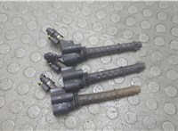  Катушка зажигания(комплект) Fiat Bravo 2007-2014 20820508 #5