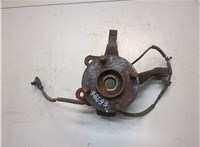 2050612, CN153K171A2D, 2444962, K1BC1104A2A Ступица (кулак, цапфа) Ford EcoSport 2012-2018 20824210 #1