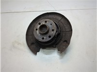 1604306, 1604002, 1604301 Ступица (кулак, цапфа) Opel Vectra B 1995-2002 20826898 #1