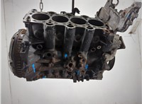  Блок цилиндров (Шорт блок) KIA Rio 2005-2011 20828231 #9