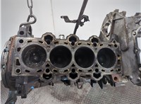  Блок цилиндров (Шорт блок) KIA Rio 2005-2011 20828231 #10