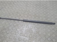 68620106AA, 00505732040 Амортизатор капота Dodge Hornet 2022-2025 20830093 #1