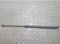 68620106AA Амортизатор капота Dodge Hornet 2022-2025 20830096 #1