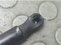 68620106AA Амортизатор капота Dodge Hornet 2022-2025 20830096 #3