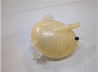 GN1Z8A080A Бачок расширительный Ford EcoSport 2017-2023 20832456 #4