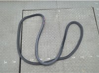 68630479AA Уплотнитель Dodge Hornet 2022-2025 20832551 #1