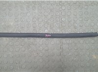 68606973AA Молдинг стекла (боковое) Dodge Hornet 2022-2025 20832800 #1
