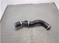 GN116F073FC Патрубок интеркулера Ford EcoSport 2017-2023 20833164 #4