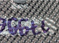 18308609800, 8609802 Тепловой экран (термозащита) BMW i3 2013-2022 20833618 #3