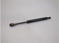 654713JA0A Амортизатор капота Infiniti QX60 2013-2020 20834421 #1