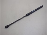 811600W000 Амортизатор капота Hyundai Santa Fe 2005-2012 20835924 #1