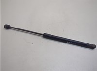 811600W000 Амортизатор капота Hyundai Santa Fe 2005-2012 20835928 #1