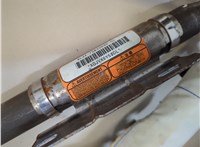 9L3478042D95CL Подушка безопасности боковая (шторка) Ford F-150 2009-2014 20836209 #2