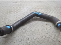 GN116C646FA Патрубок интеркулера Ford EcoSport 2017-2023 20836978 #3