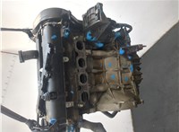 1302397, 3M5G6006BA Двигатель (ДВС) Ford Fiesta 2001-2007 20839614 #14