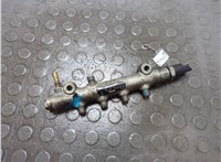  Рампа (рейка) топливная Peugeot 206 1998-2012 20839686 #1