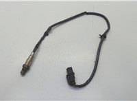 0258017428, 0258017429 Лямбда зонд Porsche Macan 2014-2024 20839804 #1