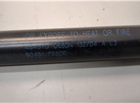 654717S600 Амортизатор капота Infiniti QX56 2004-2010 20838320 #2