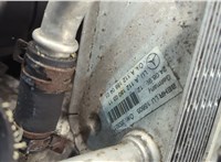  Шкив коленвала Mercedes S W220 1998-2006 11652039 #4